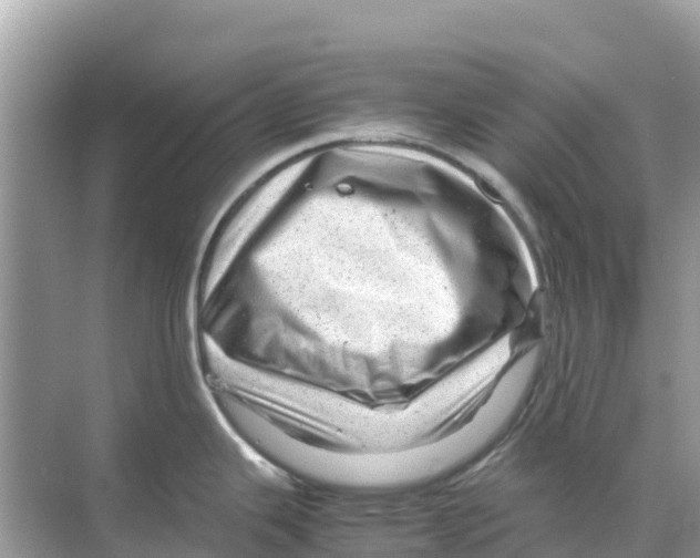 X0000070191343200606232003