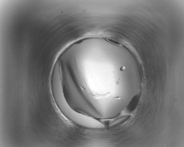 X0000070191344200606232003