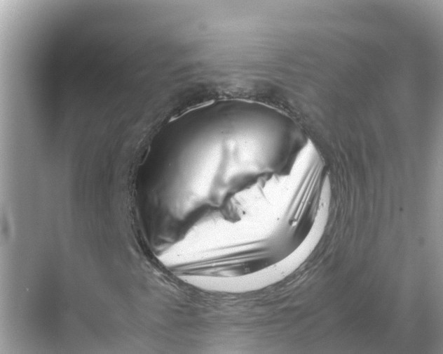 X0000070191345200606232002