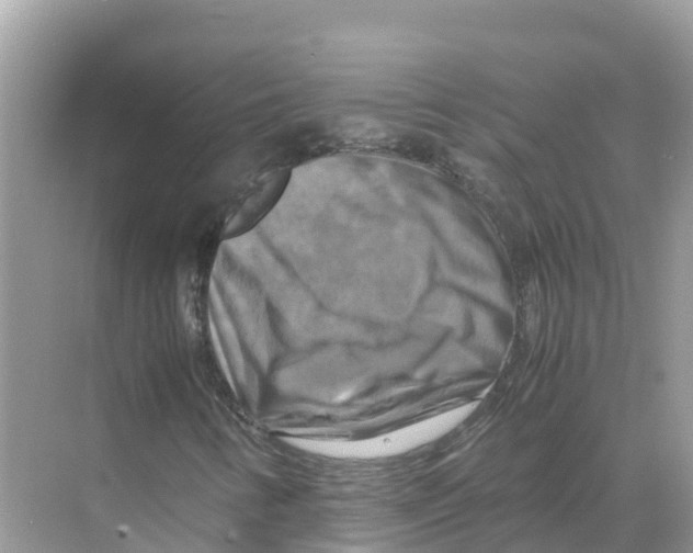 X0000070191346200606232002