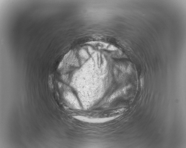 X0000070191347200606232002