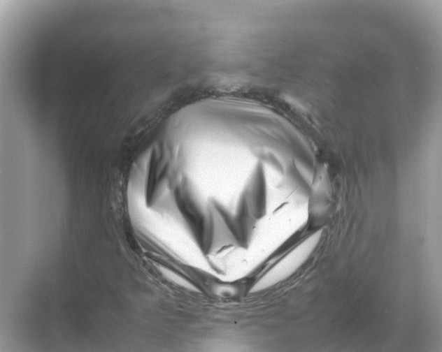 X0000070191349200606232002