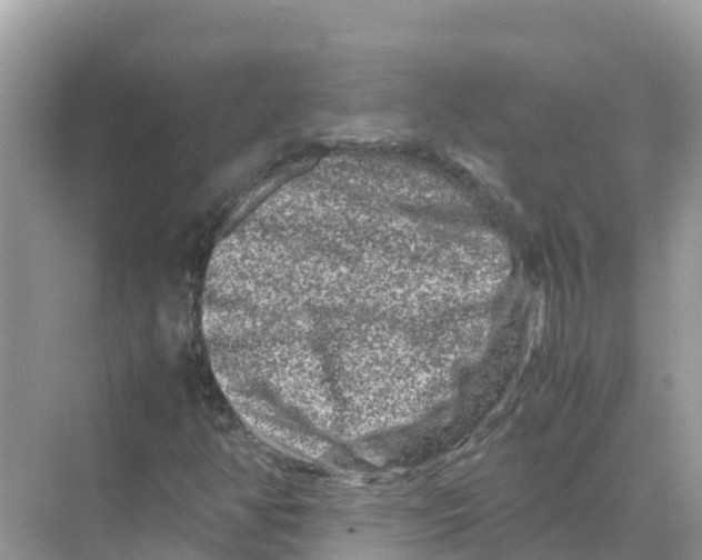 X0000070191350200606232002