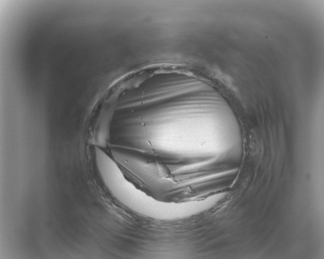 X0000070191352200606232002