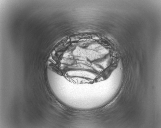 X0000070191353200606232002