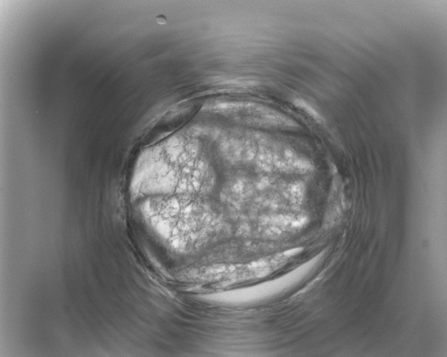 X0000070191354200606232002