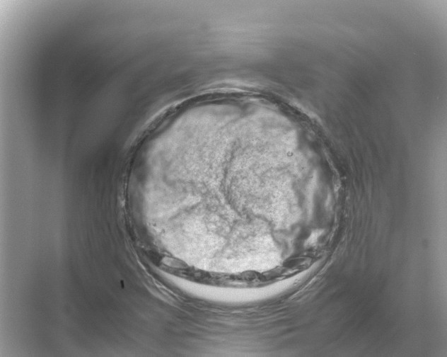 X0000070191355200606232002