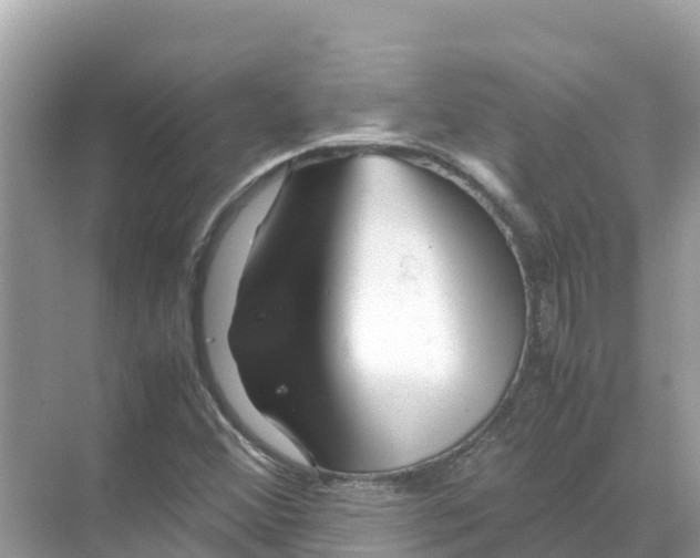 X0000070191356200606232002