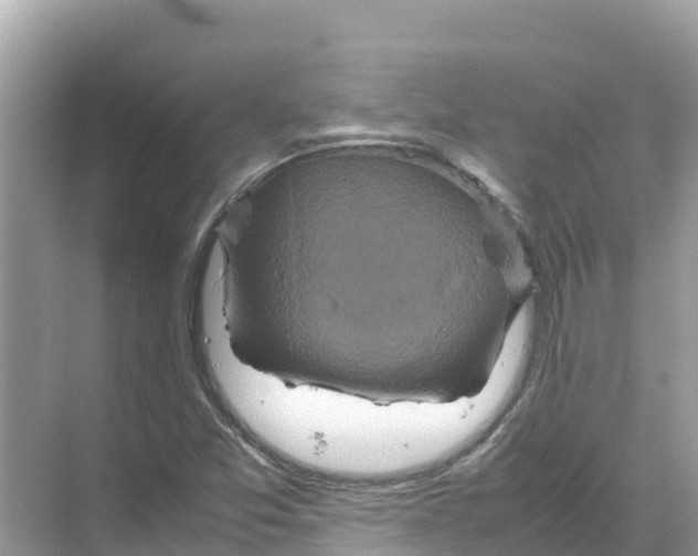 X0000070191357200606232002