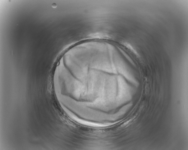 X0000070191358200606232002