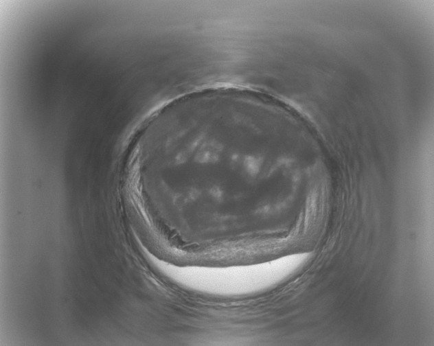 X0000070191359200606232002