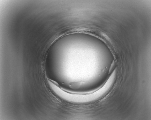 X0000070191361200606232002