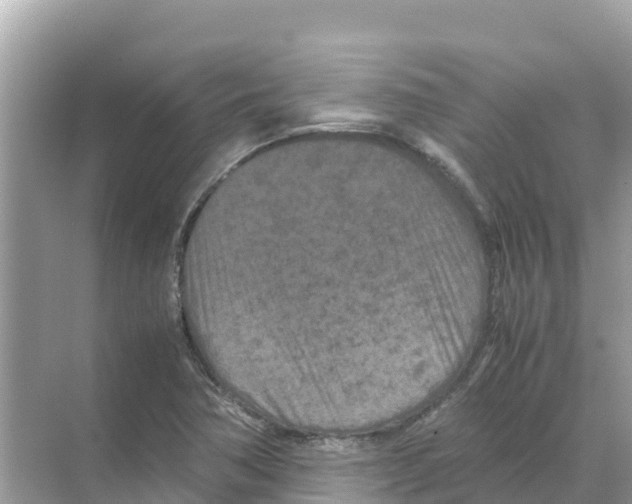 X0000070191362200606232002