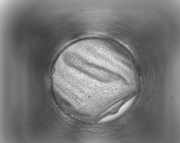 X0000070191363200606232002