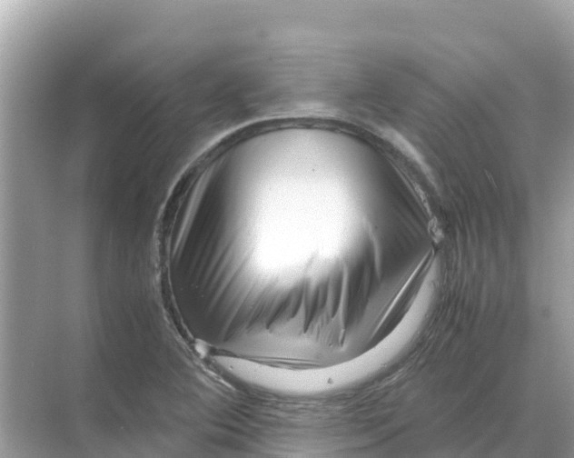 X0000070191364200606232002