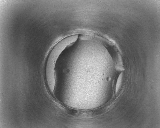 X0000070191365200606232002