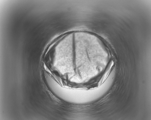 X0000070191366200606232002