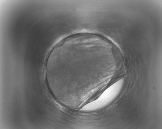 X0000070191367200606232001