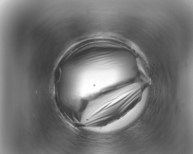 X0000070191368200606232001