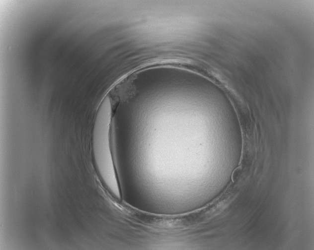 X0000070191369200606232001