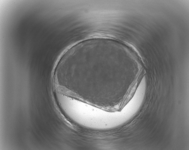 X0000070191371200606232001