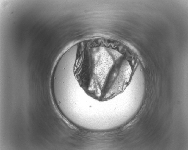 X0000070191373200606232001