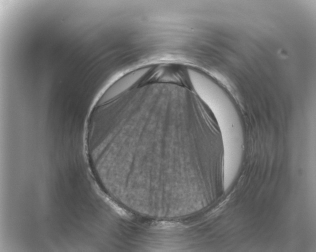 X0000070191374200606232001