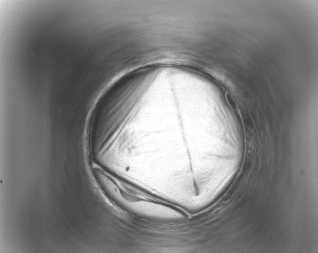 X0000070191375200606232001