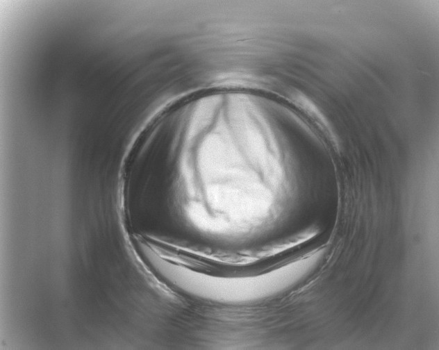 X0000070191376200606232001