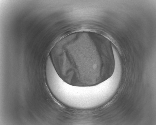 X0000070191377200606232001