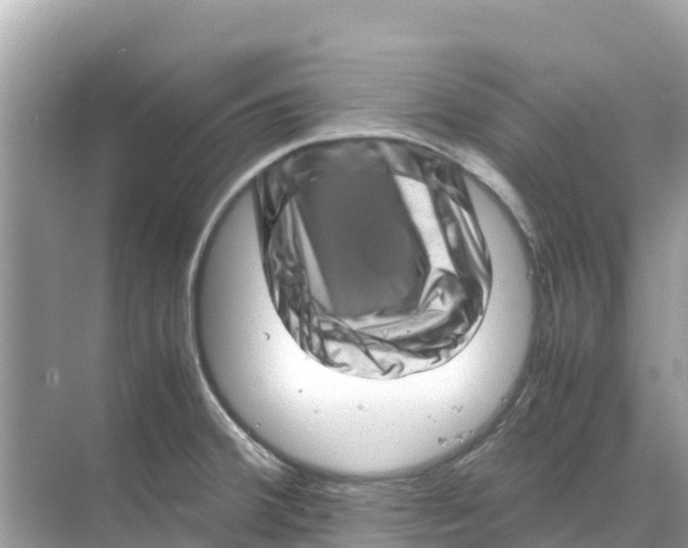 X0000070191380200606232001