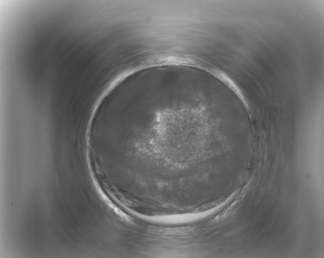 X0000070191381200606232001