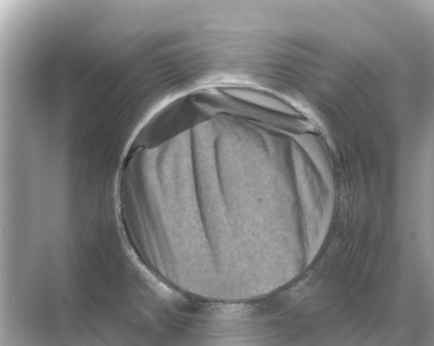 X0000070191382200606232001