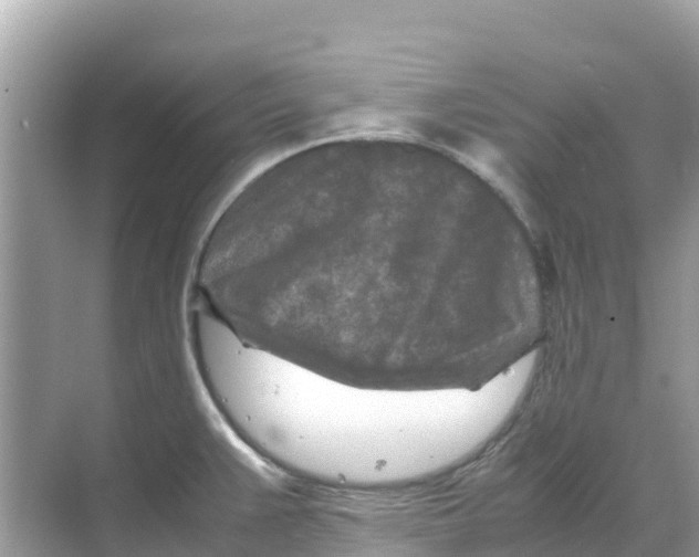 X0000070191383200606232001