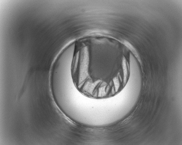 X0000070191384200606232001