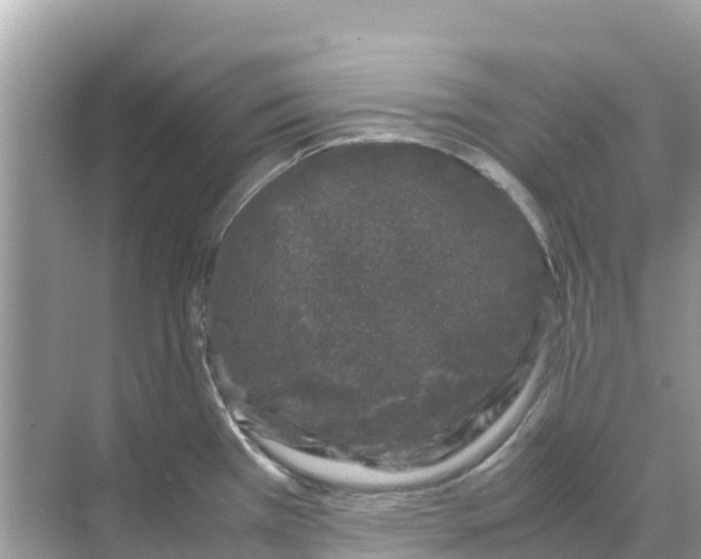 X0000070191385200606232001