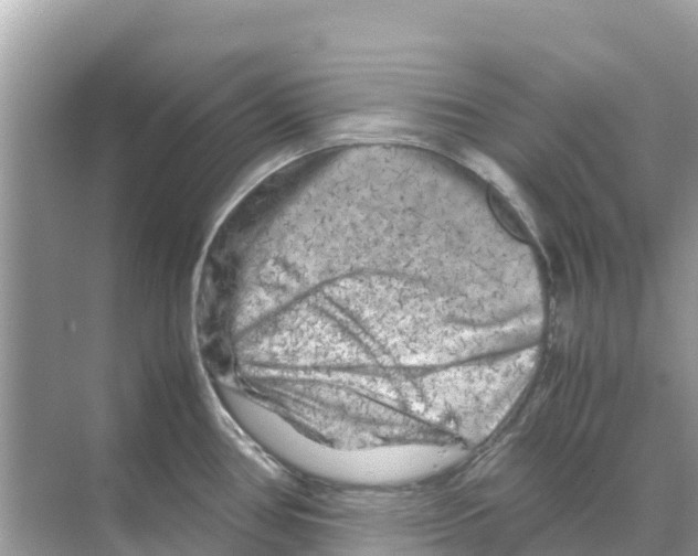 X0000070191386200606232001