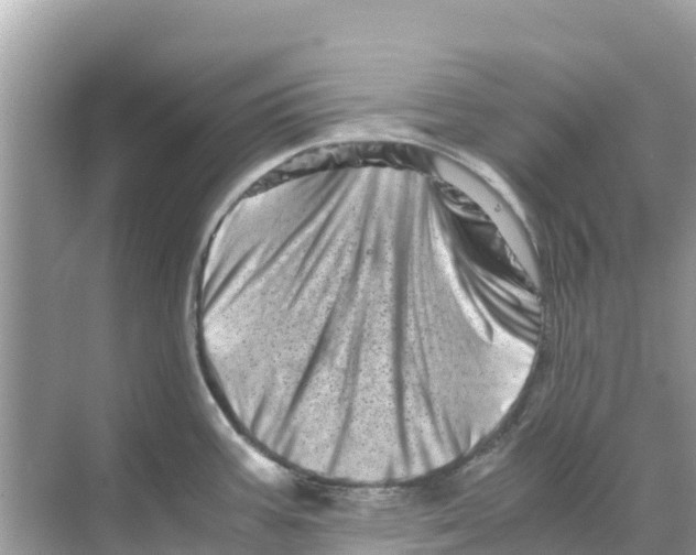 X0000070191387200606232001