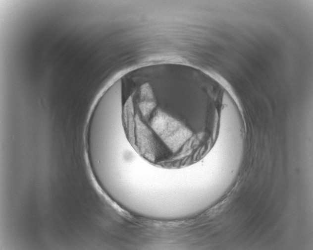 X0000070191389200606232001