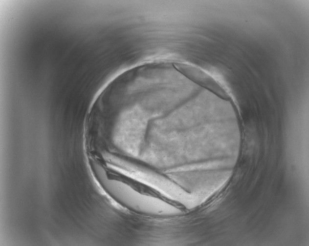 X0000070191390200606232001