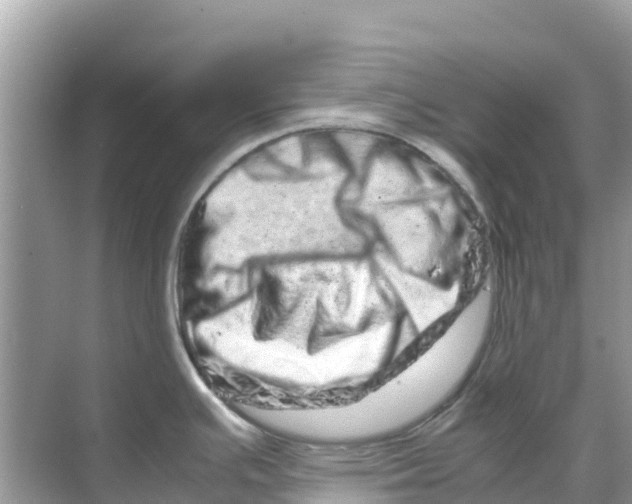 X0000070191391200606232001