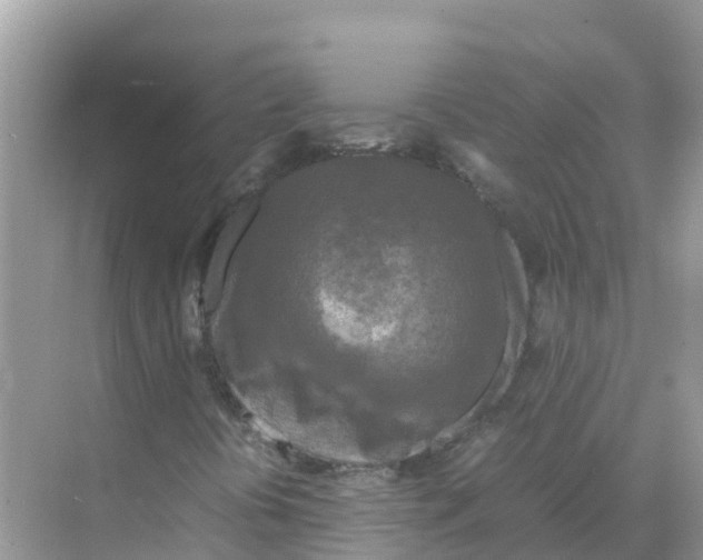 X0000070191394200606232000