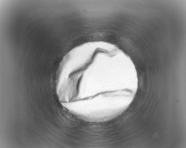 X0000070191395200606232000