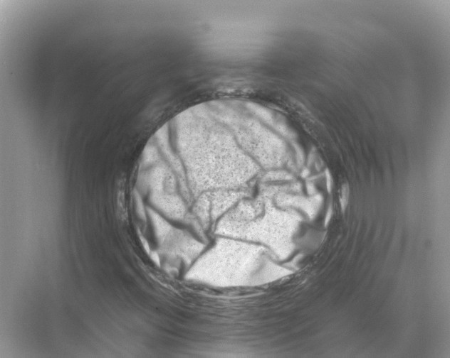 X0000070191396200606232000