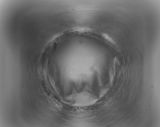 X0000070191398200606232000