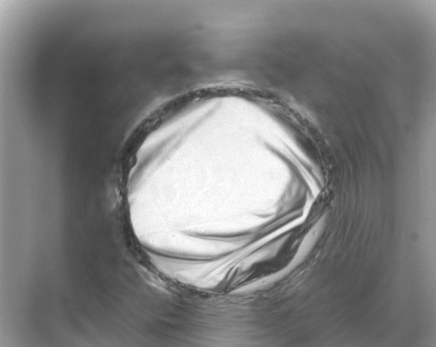 X0000070191400200606232000