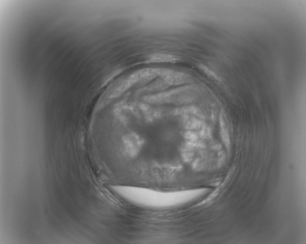 X0000070191401200606232000