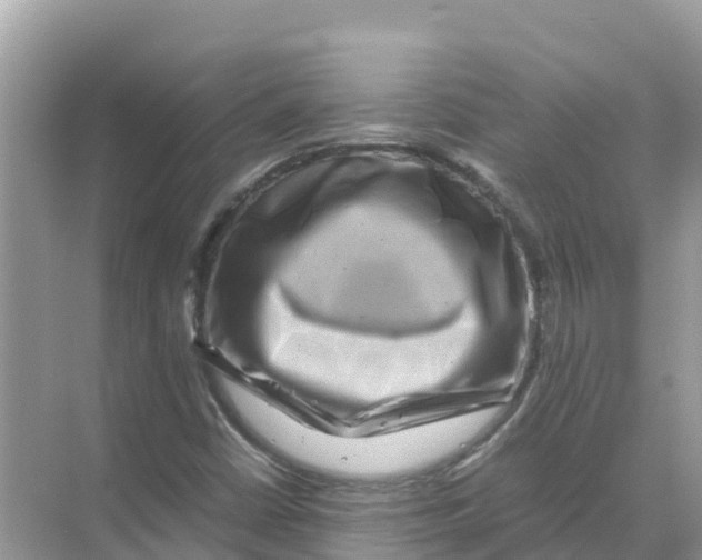 X0000070191402200606232000