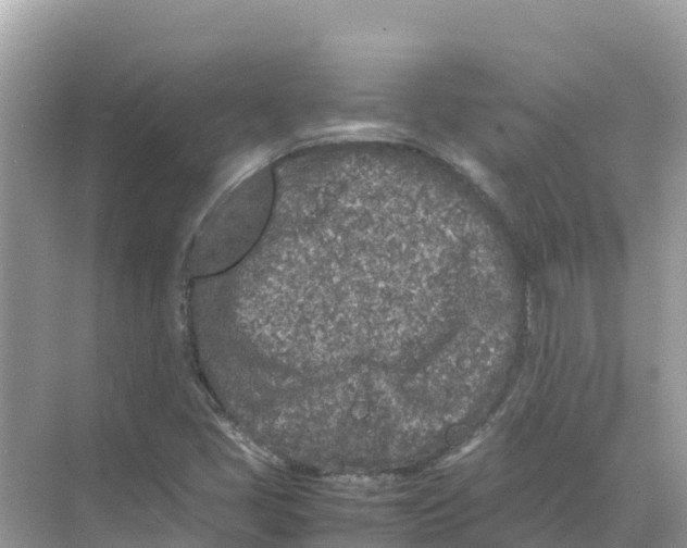 X0000070191405200606232000