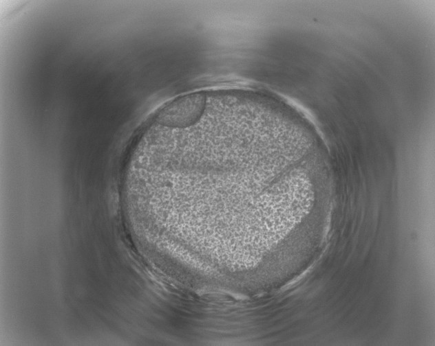 X0000070191407200606232000